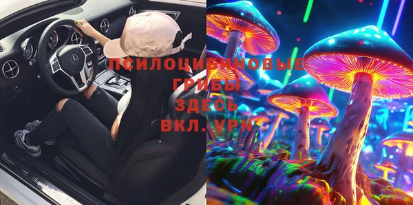 винт Алексин