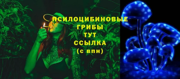 герыч Алзамай