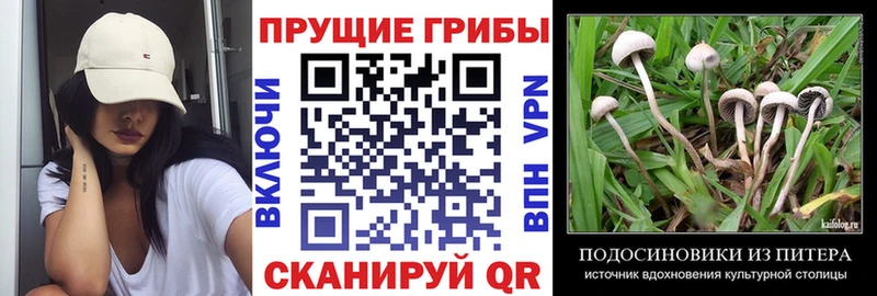 Псилоцибиновые грибы мицелий  Слюдянка 
